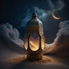 Profile picture for user mohammed chibani