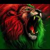 Mohamed El Youssfi